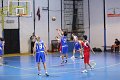 basket8570173