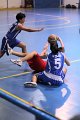basket8570179
