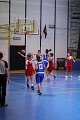 basket8570180