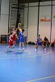 basket8570181