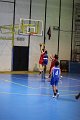 basket8570183