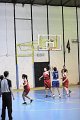 basket8570185