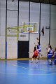 basket8570186