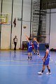 basket8570193