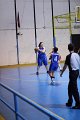basket8570194