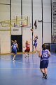 basket8570195