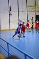 basket8570197