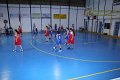 basket8570199