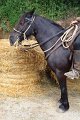 IMG_9606