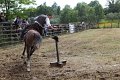 IMG_9649