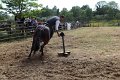 IMG_9690