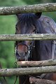 IMG_9739