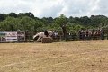 IMG_9132