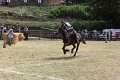 IMG_9138