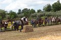 IMG_9152