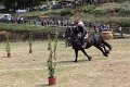 IMG_9195