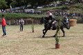 IMG_9196
