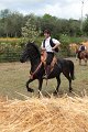 IMG_9206