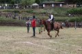 IMG_9209