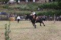IMG_9214