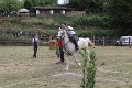 IMG_9231