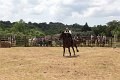 IMG_9232