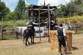 IMG_9236