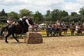 IMG_9242
