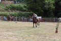 IMG_9251
