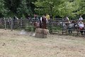 IMG_9261