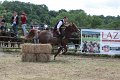 IMG_9262