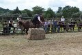 IMG_9263