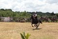 IMG_9290