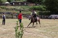 IMG_9295