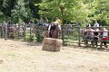 IMG_9297