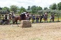IMG_9299
