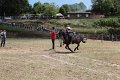 IMG_9316
