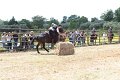 IMG_9319