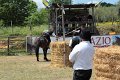 IMG_9332