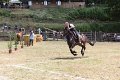 IMG_9334