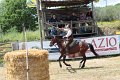IMG_9343