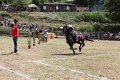 IMG_9350
