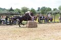 IMG_9353