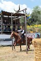 IMG_9359