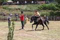 IMG_9367