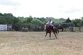 IMG_9379