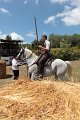 IMG_9391