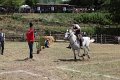 IMG_9395
