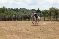 IMG_9396