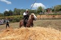 IMG_9411